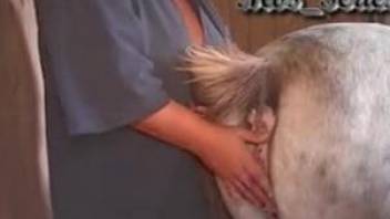 brent hallman share donkey punch porn video