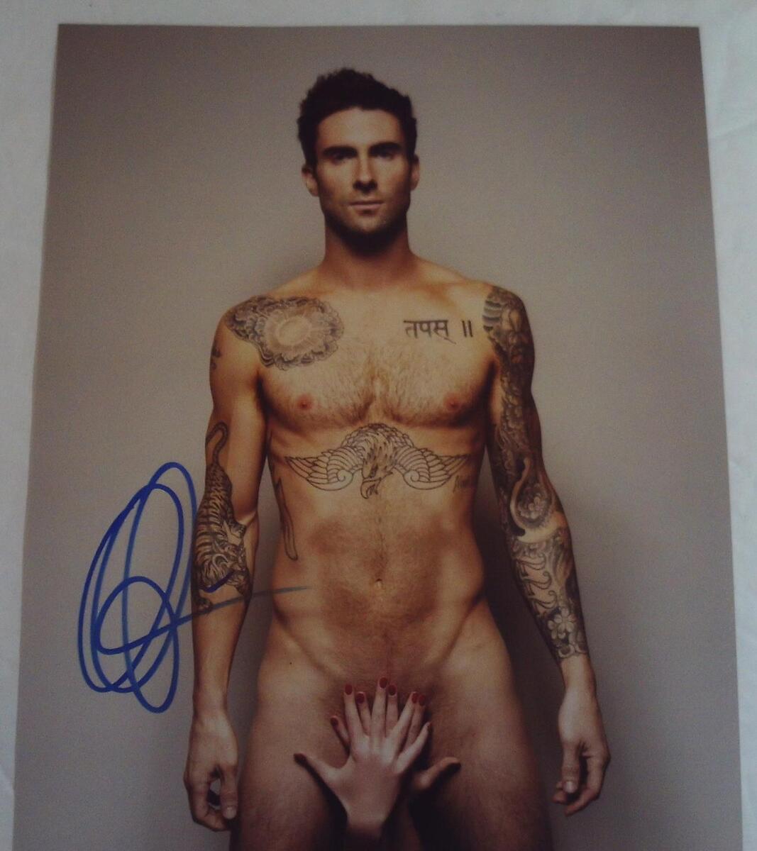 carmine iacurto recommends adam levine naked porn pic