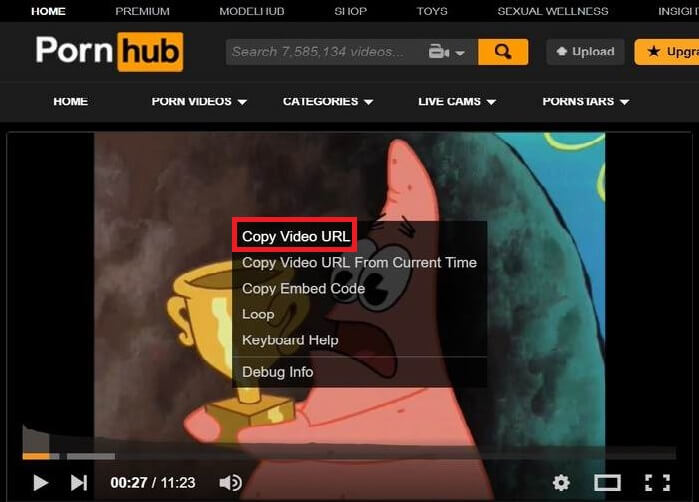 Best of Porn hub video download