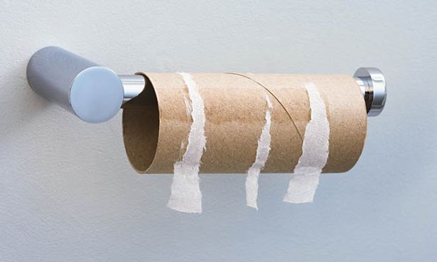alexandra hall recommends Toilet Paper Girth Test