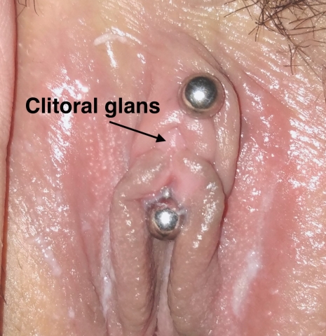 adam downs share photos of clit piercing photos