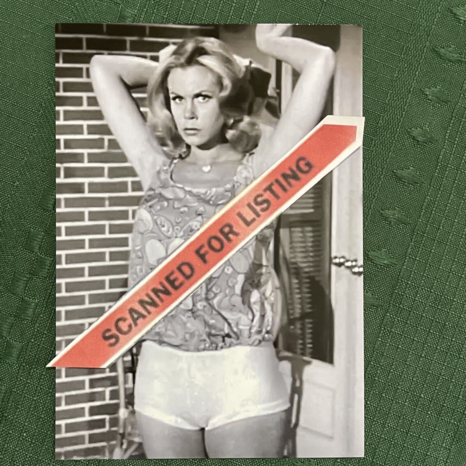 bryan sunday recommends elizabeth montgomery topless pic