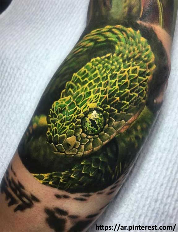 bjorn benson recommends snake tattoo on penis pic