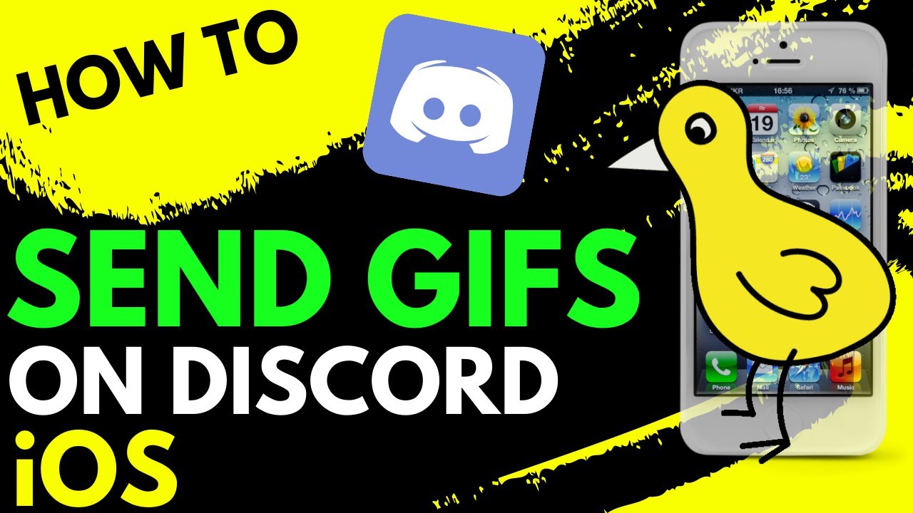 cassidy meredith recommends how to send gifs on discord pic