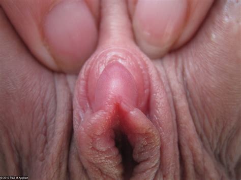 danielle haydon add clitoris real close up photo