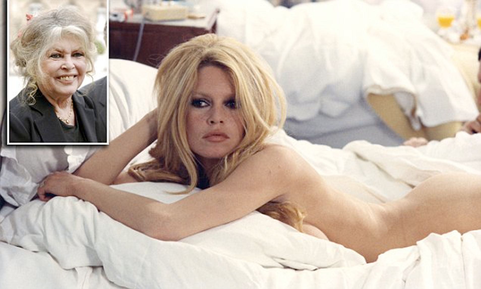Brigitte Bardot Naked Pictures eve gif