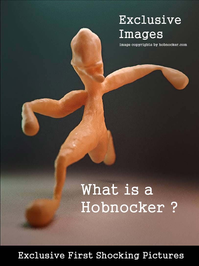 Best of What is a hobnocker