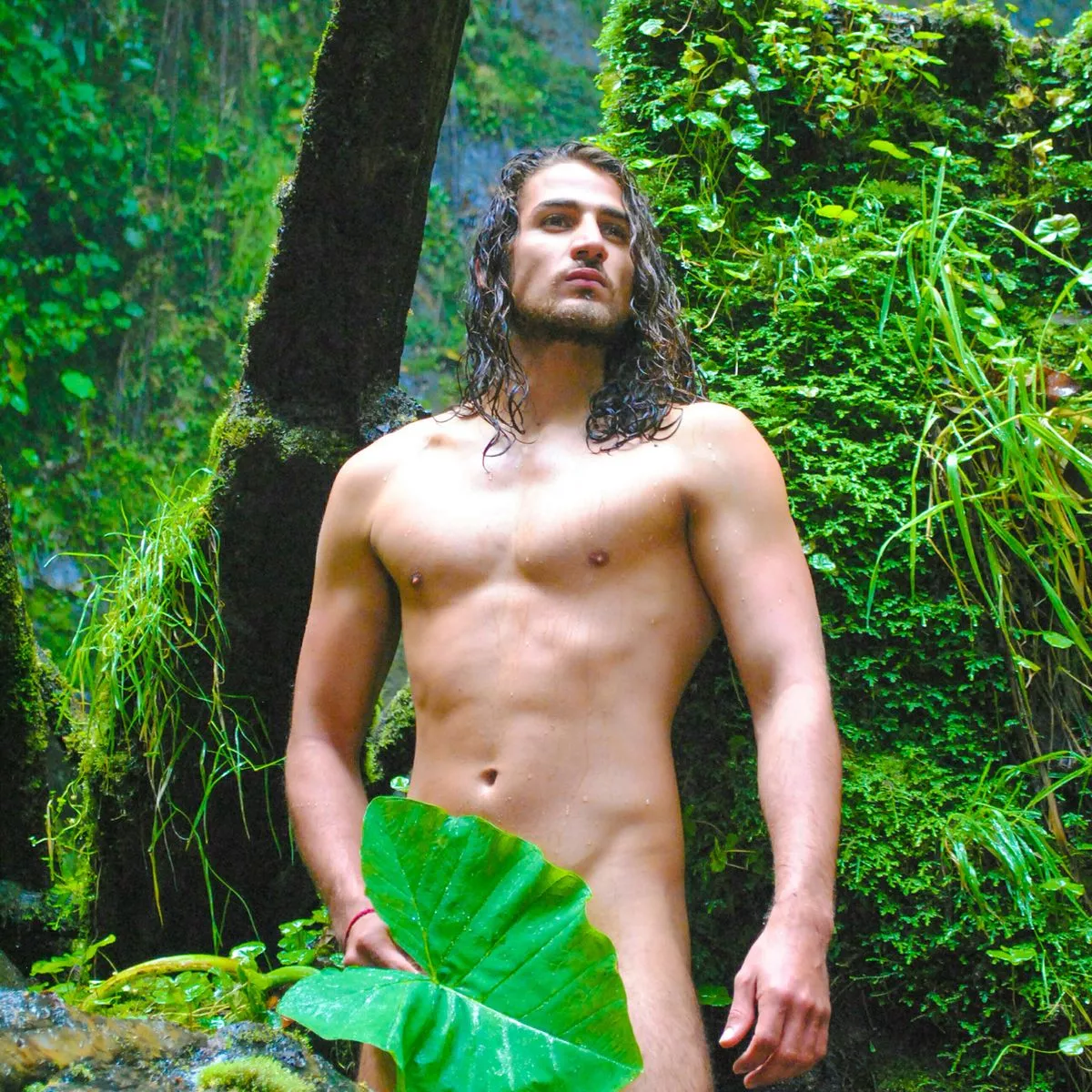 anesh singh recommends Nude Men In The Forest