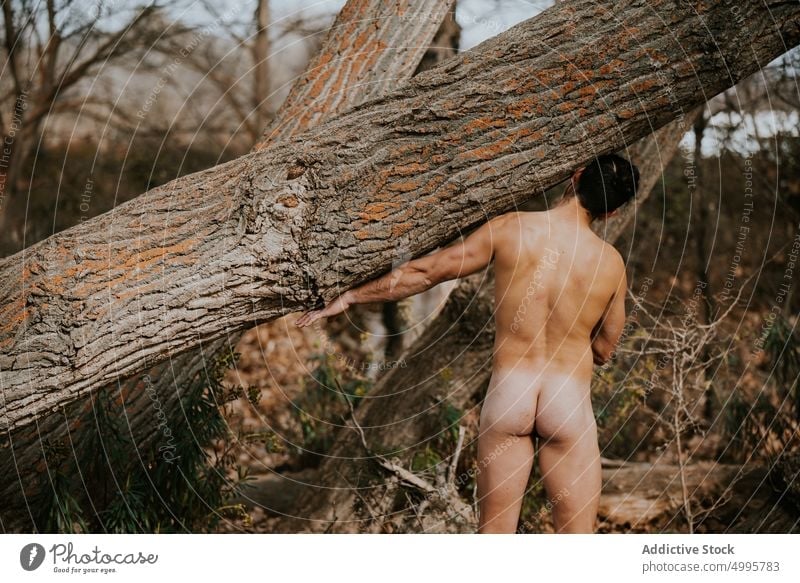 darren bean share nude men in the forest photos