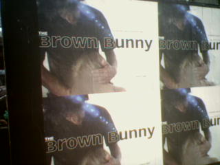 angie thornburg recommends the brown bunny blow pic