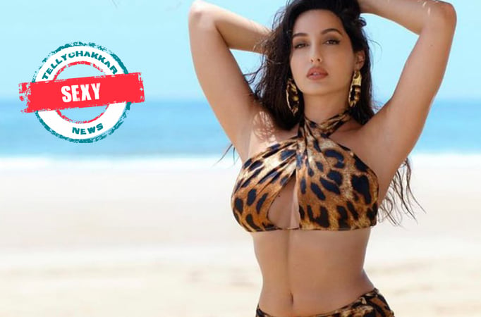 carolyn hawkes recommends nora fatehi hot video pic