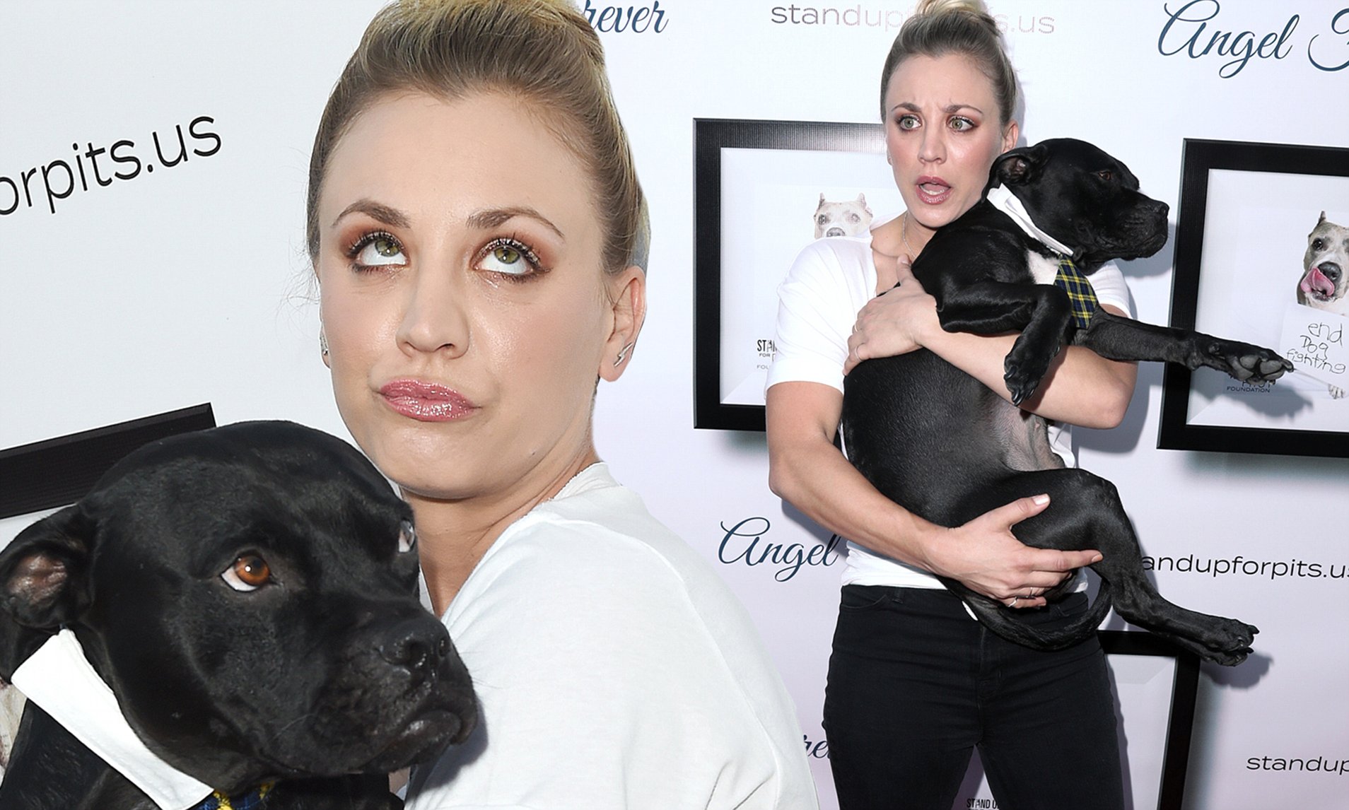 christian paul layug recommends Kaley Cuoco Doggy Style