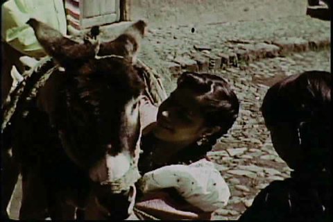 andrei antonie recommends Donkey Shows Tijuana Video