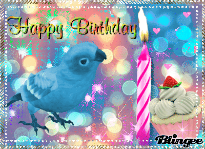 cynthia wilhite recommends Bird Happy Birthday Gif