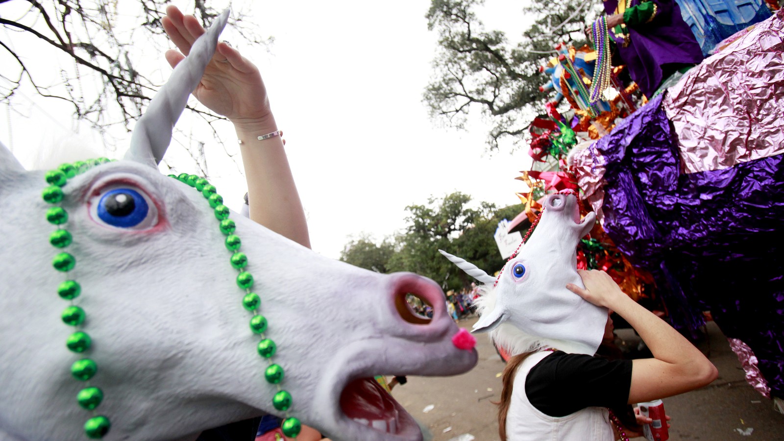 andrea goulding recommends Mardi Gras 2016 Flashers