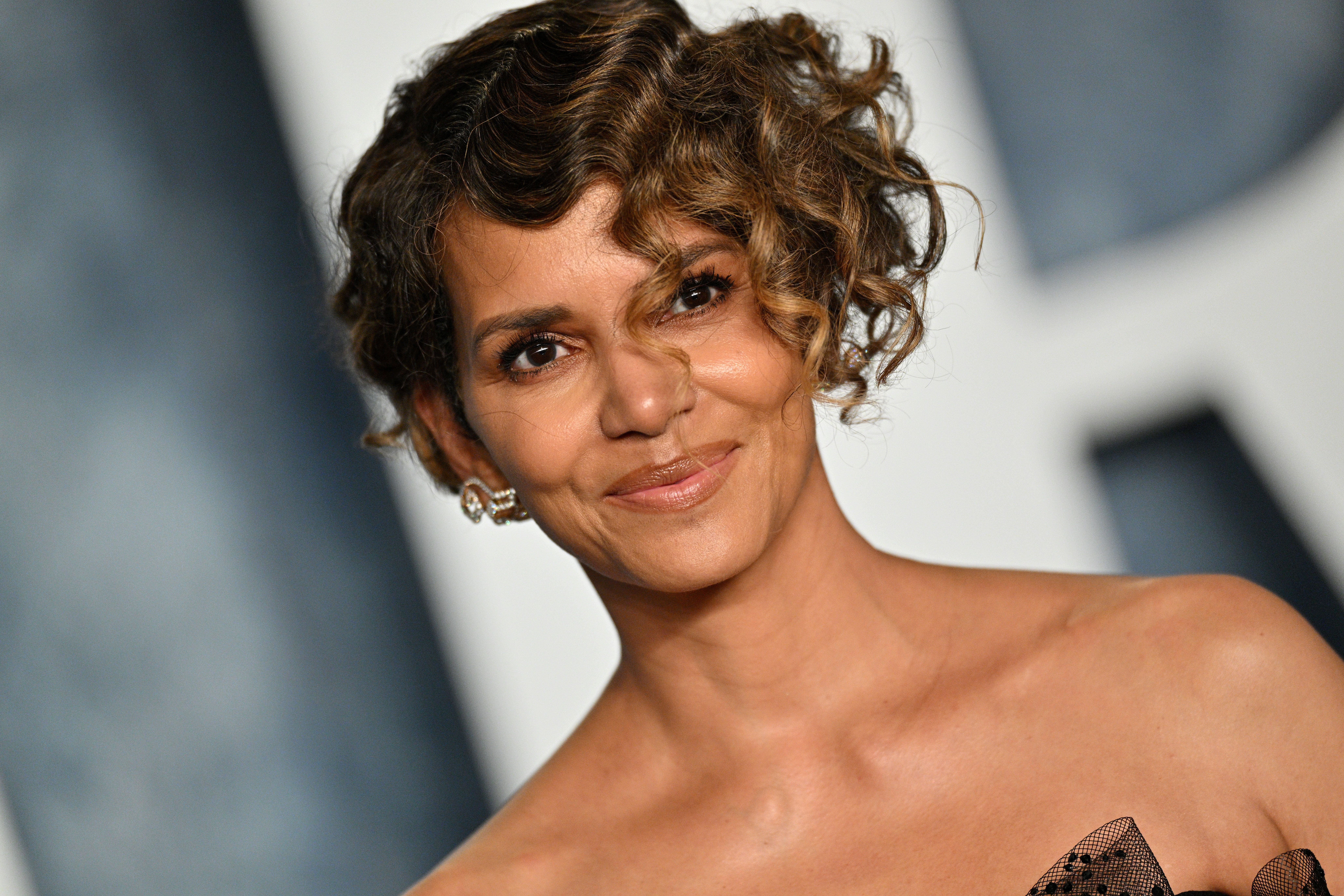 carol scalzo recommends Halle Berry Leaked Photos