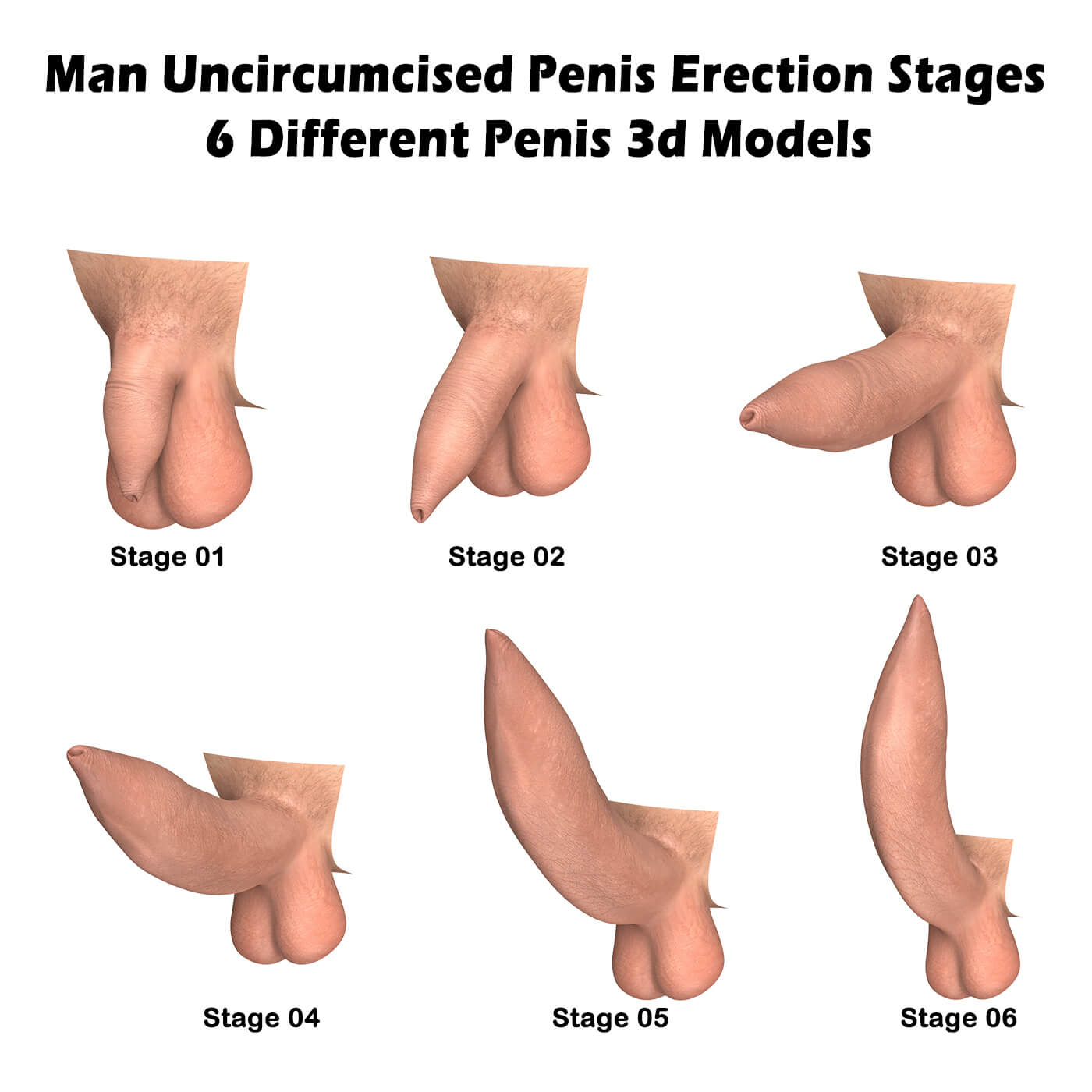 Uncircumcised Penis Photo petty anal