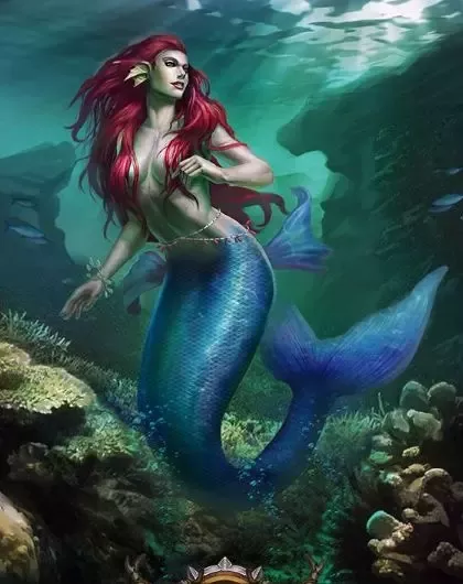 bear schoch recommends How Do You Fuck A Mermaid