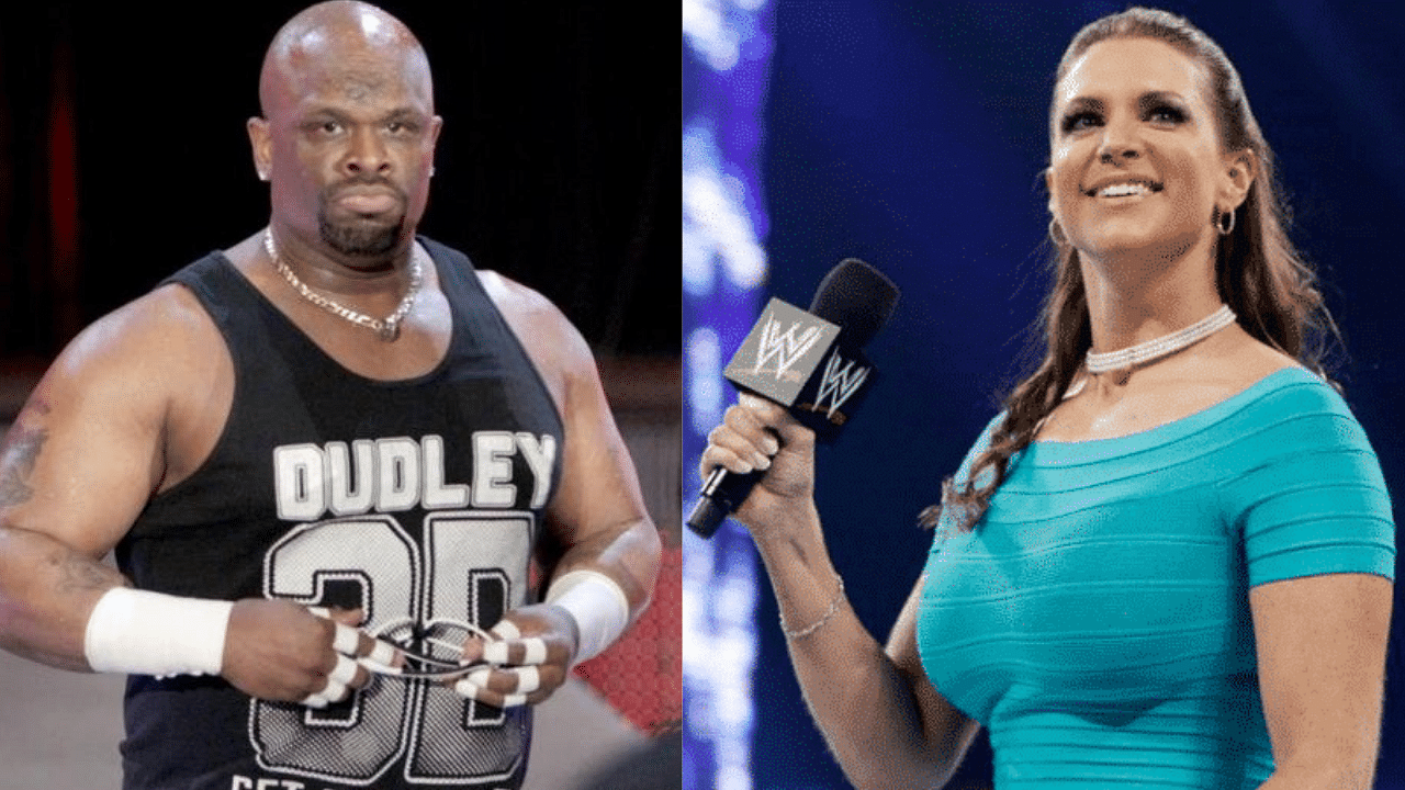 bruce painter recommends stephanie mcmahon look alike pic