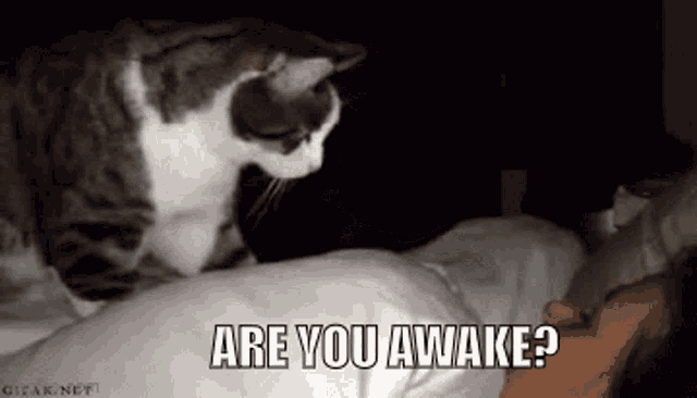 are you awake gif