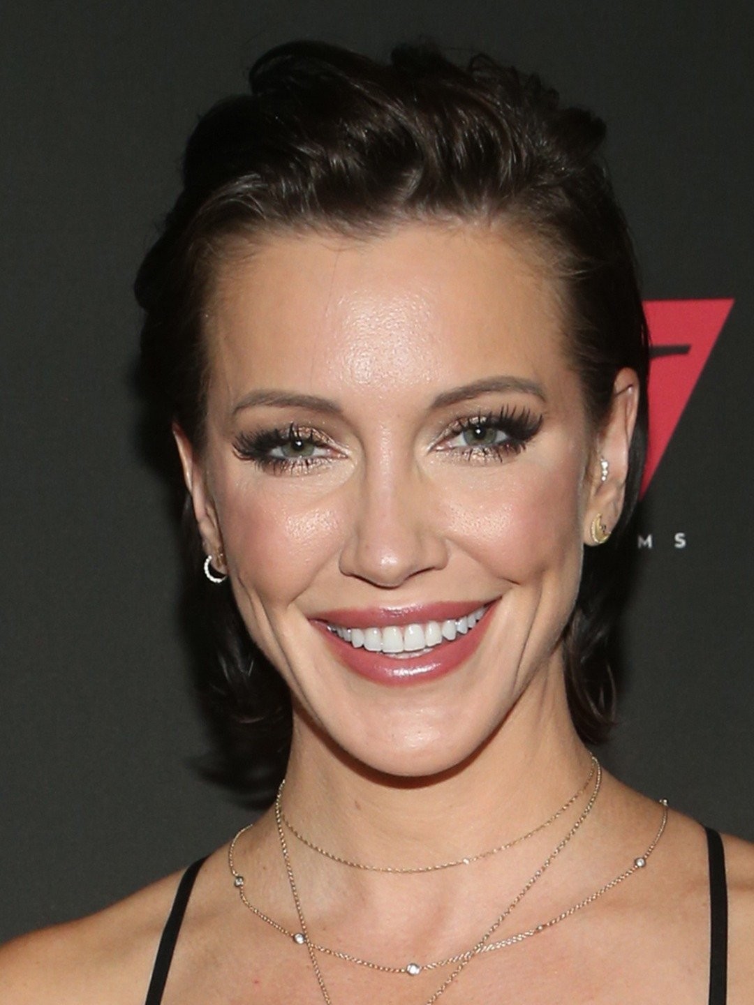 dawn vaneffen recommends katie cassidy sex video pic