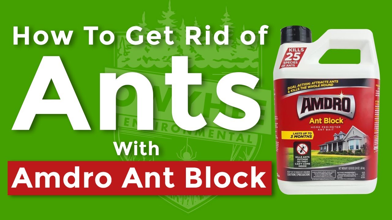 arsalaan baig recommends amdro ant killing bait reviews pic