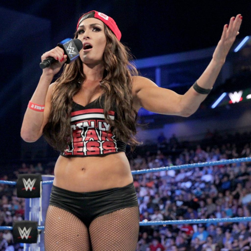 autumn anthony recommends Wwe Nikki Bella Vs
