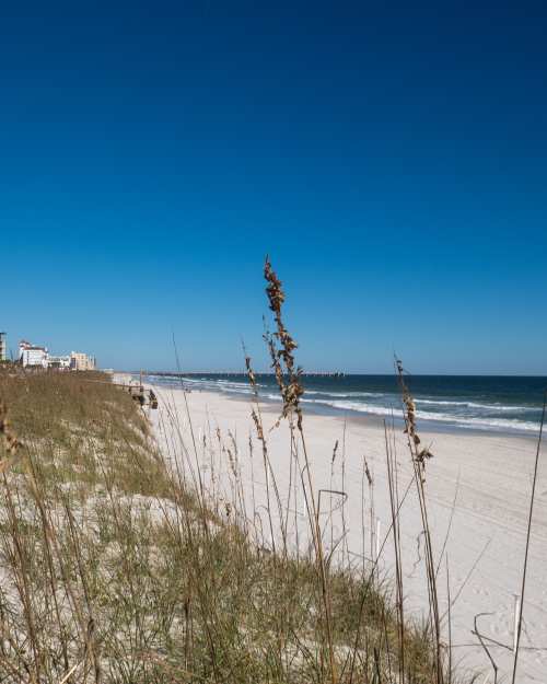debra merrick recommends Nude Beach In Jacksonville