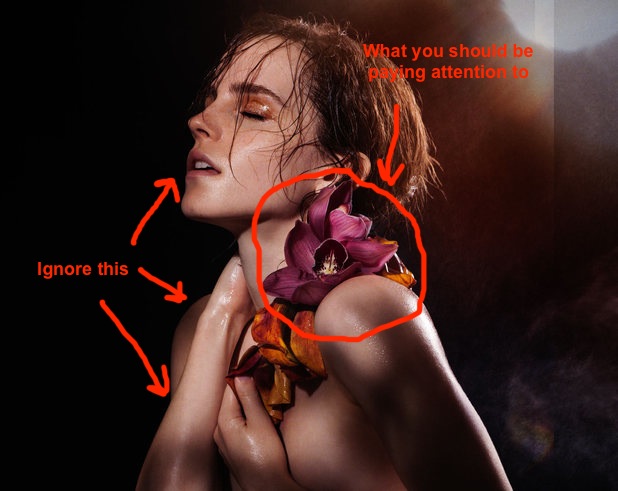 andy eden share pictures of emma watson nude photos