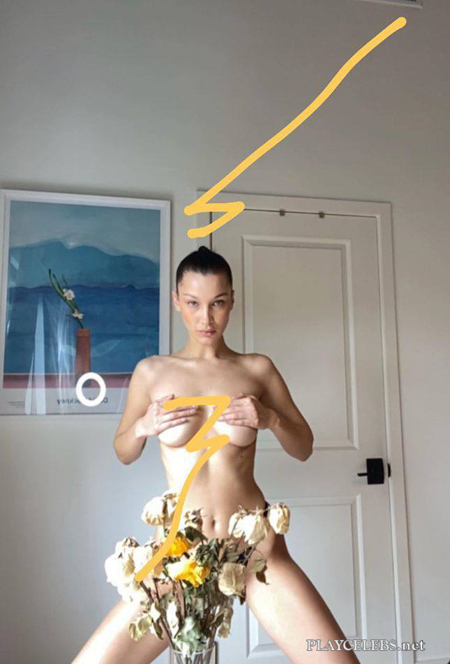 craig meyrick recommends Bella Hadid Nude Photos