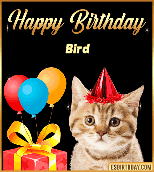 bird happy birthday gif