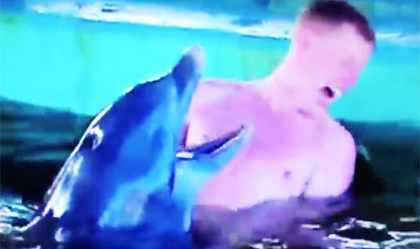 daniel earp share man jerks off dolphin photos