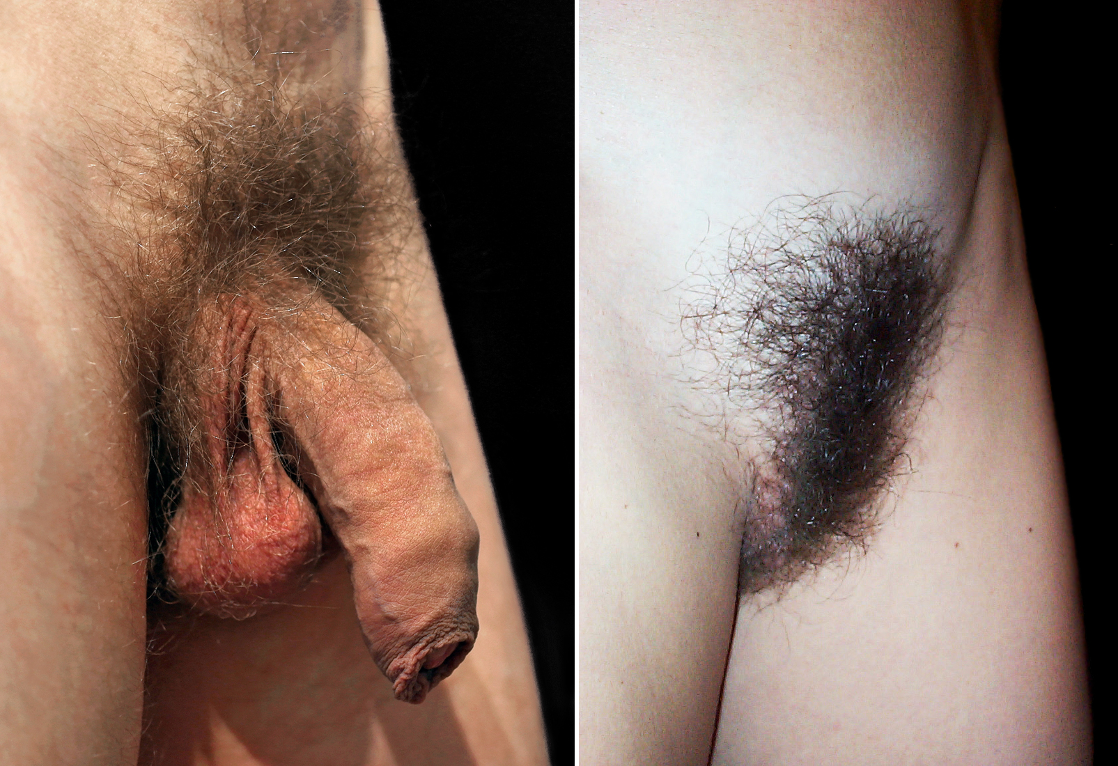 cecelia allen add hairy bush nude women photo