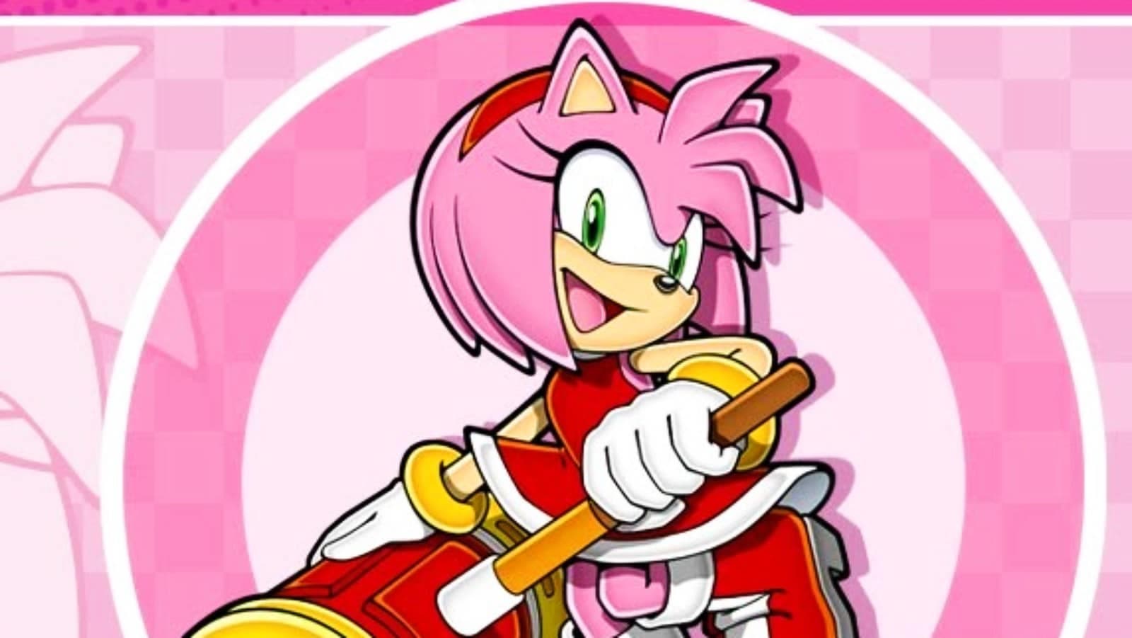 ben barresi recommends How Old Is Amy In Sonic X