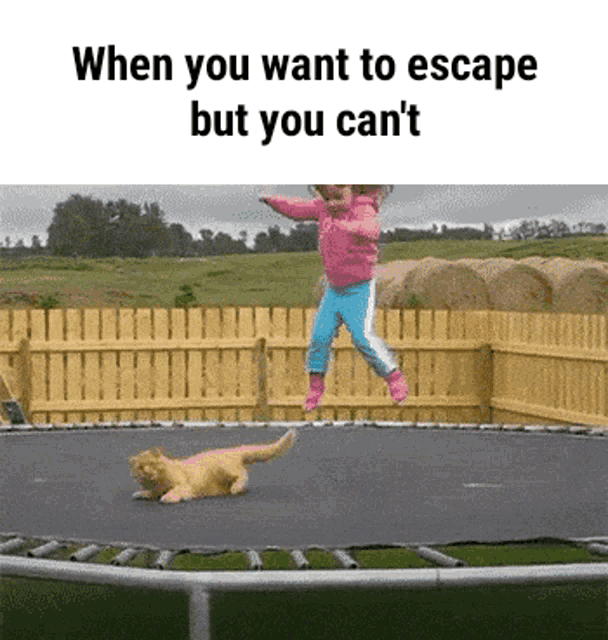 Best of There is no escape gif