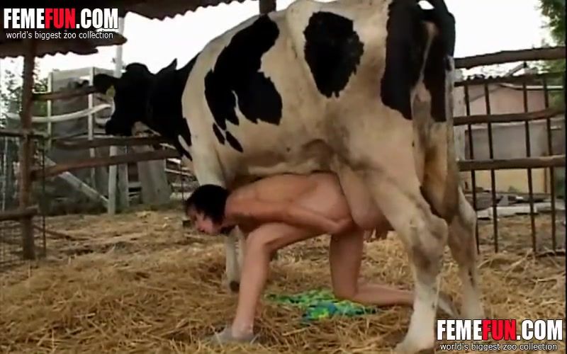 Best of Girl has sex with cow