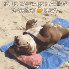 belle lowe recommends hope your day gets better gif pic