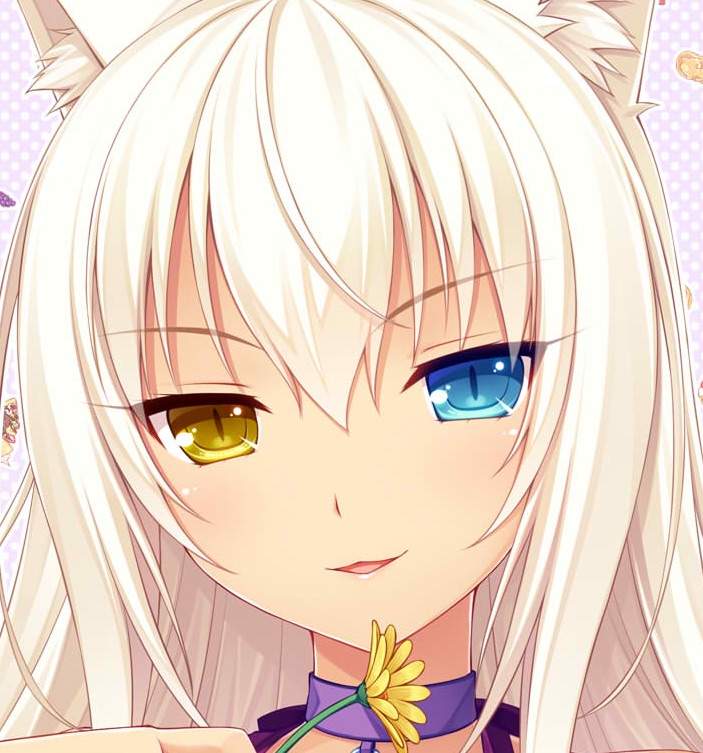 christina nickolas recommends How Old Is Coconut Nekopara