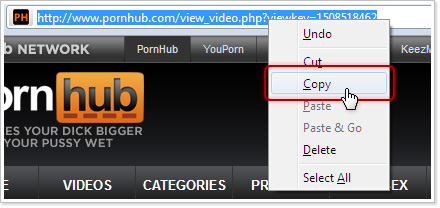 adel elsayed recommends How To Download Videos Pornhub