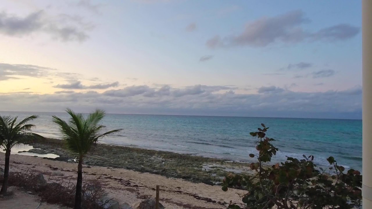 dawn stilwell recommends Live Cam In Bahamas