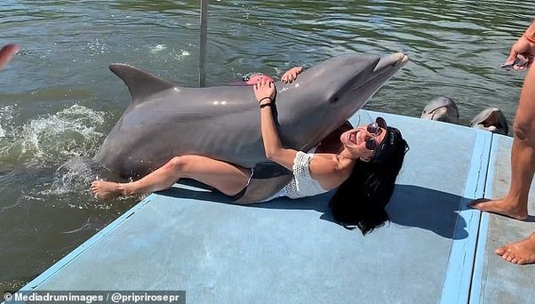 Man Jerks Off Dolphin love oldenburg