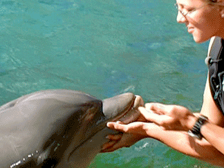 diane swensen recommends man jerks off dolphin pic