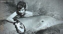 abhi dewan add photo man jerks off dolphin