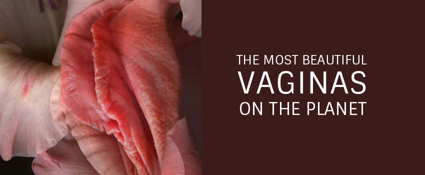 Most Beautiful Vagina Pics back page