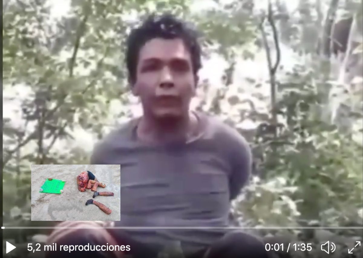 Mundo Narco 2020 Videos caught tumblr