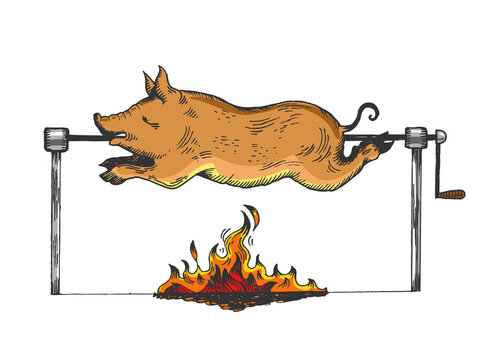 alan willey recommends pig on a spit gif pic