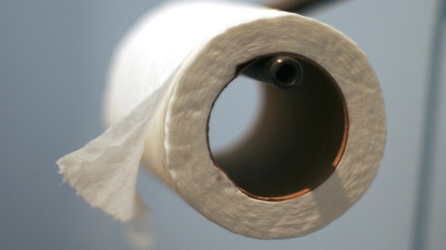 carla shearman recommends toilet paper girth test pic
