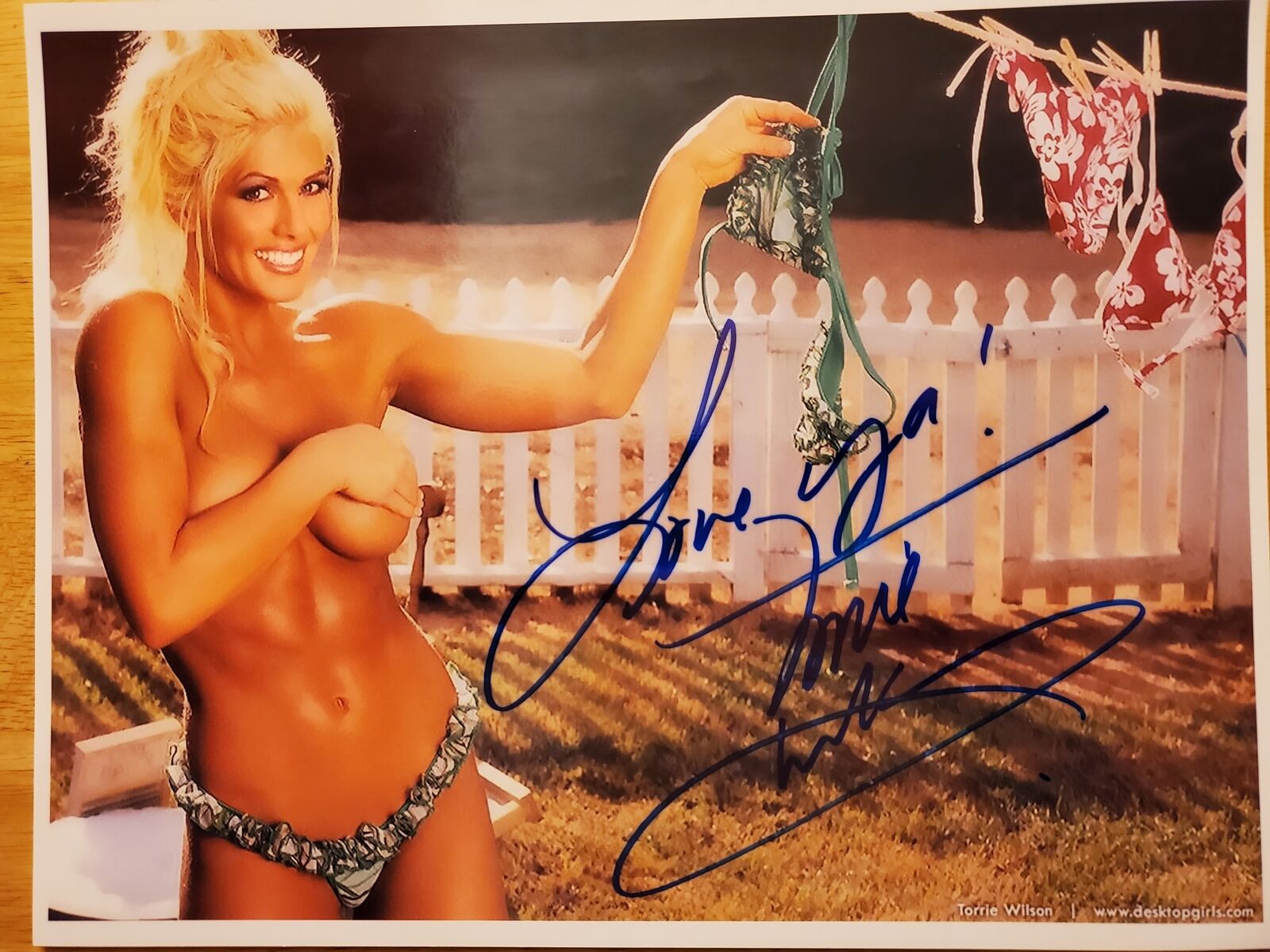 carol bolden recommends torrie wilson naked pic pic